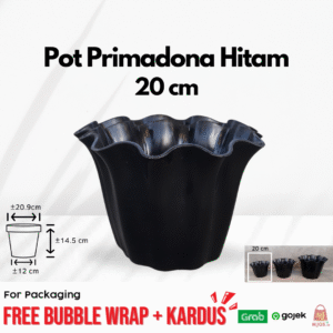 Pot Primadona Hitam 20cm