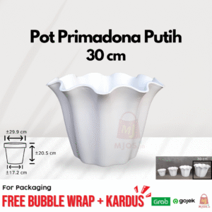 Pot Primadona Putih 30cm